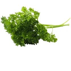 Parsley Curley