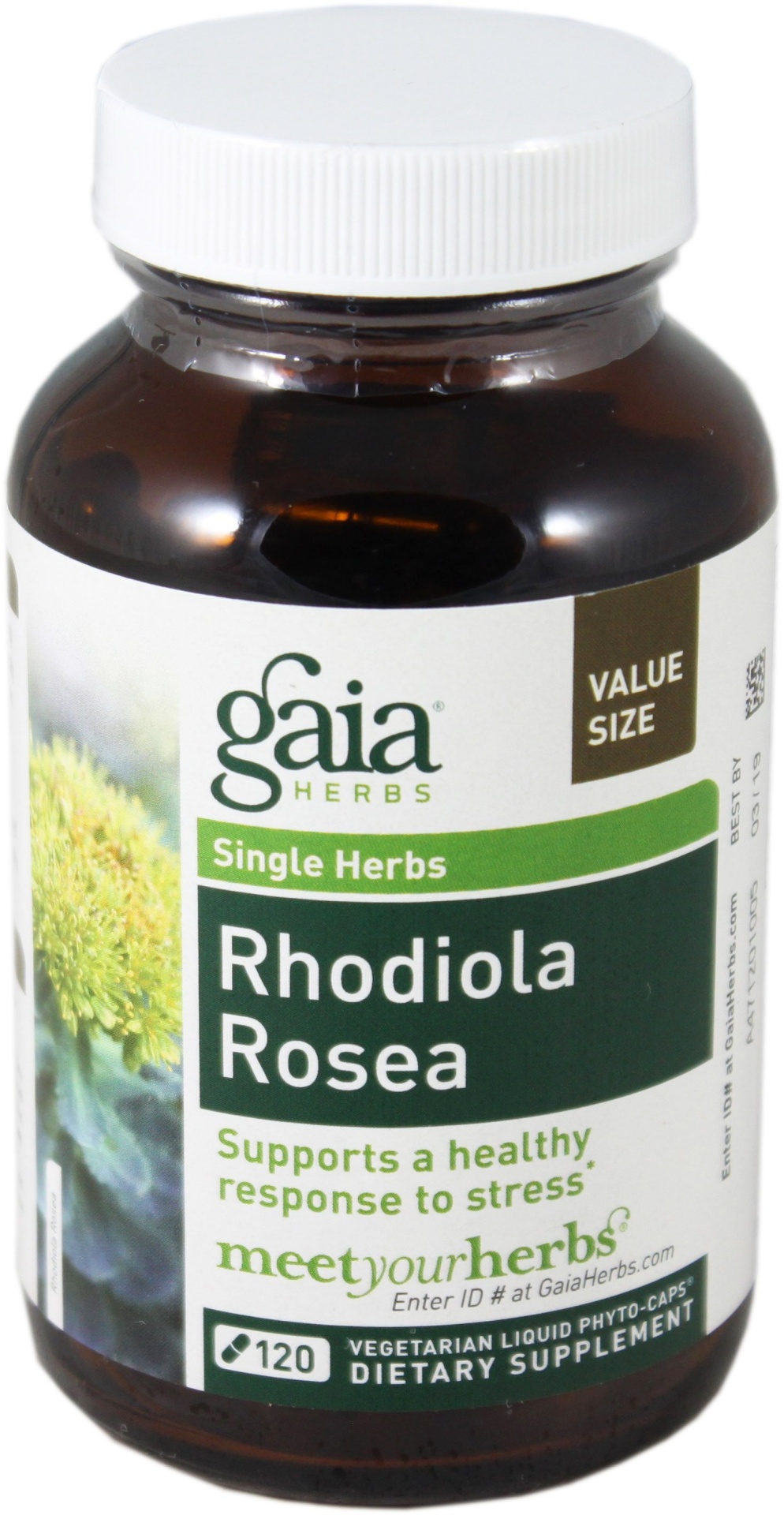 slide 1 of 1, Gaia Herbs Rhodiola Rosea, 120 ct