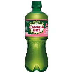 Canada Dry Strawberry Fruit Splash Sparkling Water, 20 fl oz