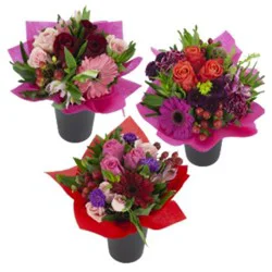 Jolo Farms Dutch Petite Arrangement