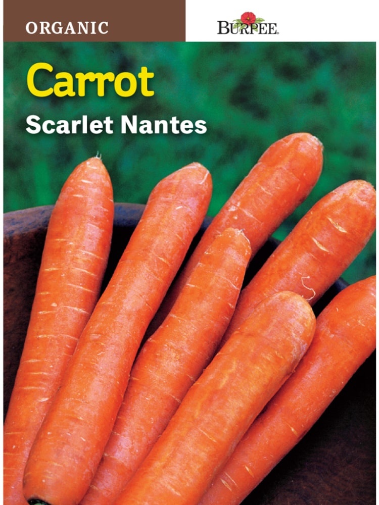 slide 1 of 1, Burpee Vegetable Organic Carrot, Nantes, 1 ct