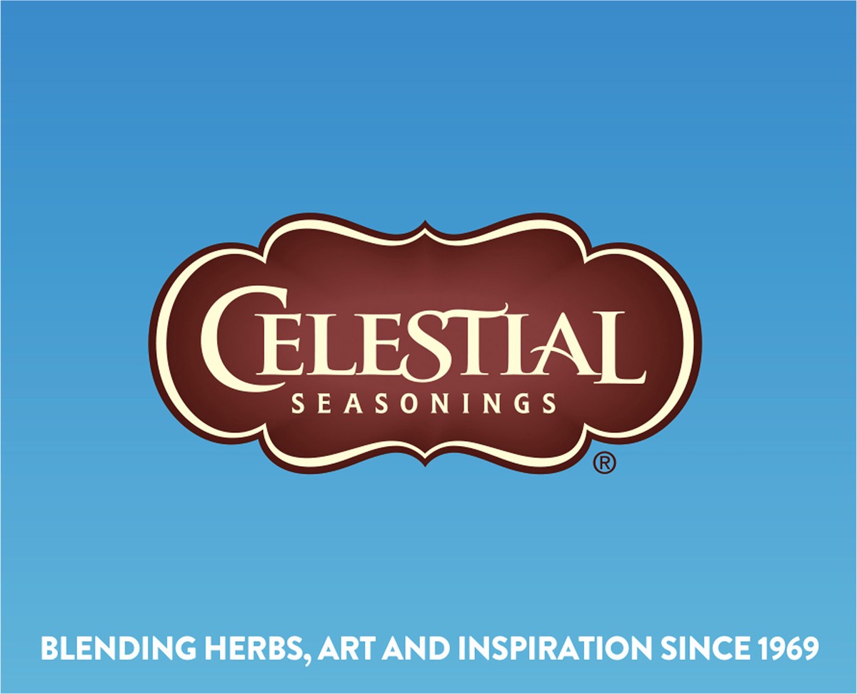 slide 7 of 7, Celestial Seasonings Celestial Seasoning Watermelon Lime Zinger Cold Brew, 1.29 oz