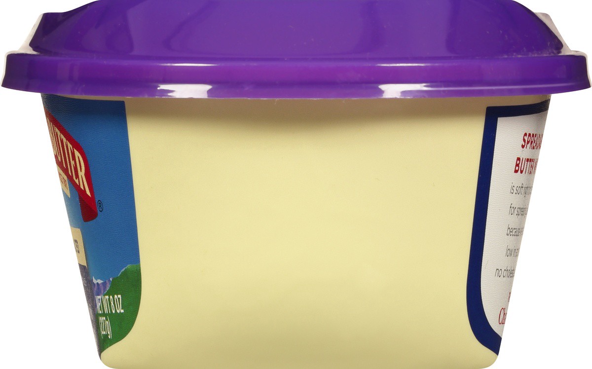 slide 4 of 9, Challenge Spreadable Sea Salted Butter with Canola Oil 8 oz, 1 ct