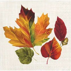 Signature Select Autumn Leaves Beverage Napkins - 16 Count