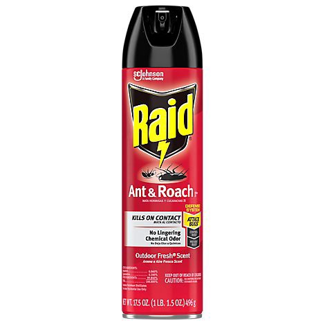 slide 1 of 1, Raid Outdoor Fresh Scent Ant And Roach Killer Insecticide Aerosol Spray - 17.5 Oz, 17.5 oz
