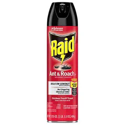 Raid Outdoor Fresh Scent Ant And Roach Killer Insecticide Aerosol Spray - 17.5 Oz