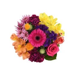 Bloom Haus January Jubilee Fresh Cut Flower Bouquet