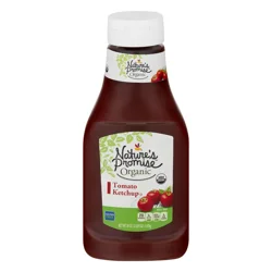 Nature's Promise Organic Tomato Ketchup