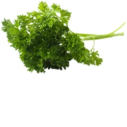 Organic Curly Parsley