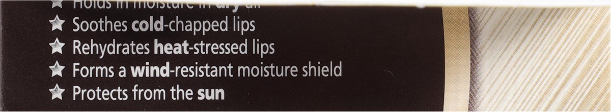 slide 6 of 9, Blistex Value Pack Broad Spectrum SPF 30 Five Star Lip Protection Lip Balm Value Pack 2 ea, 0.3 oz