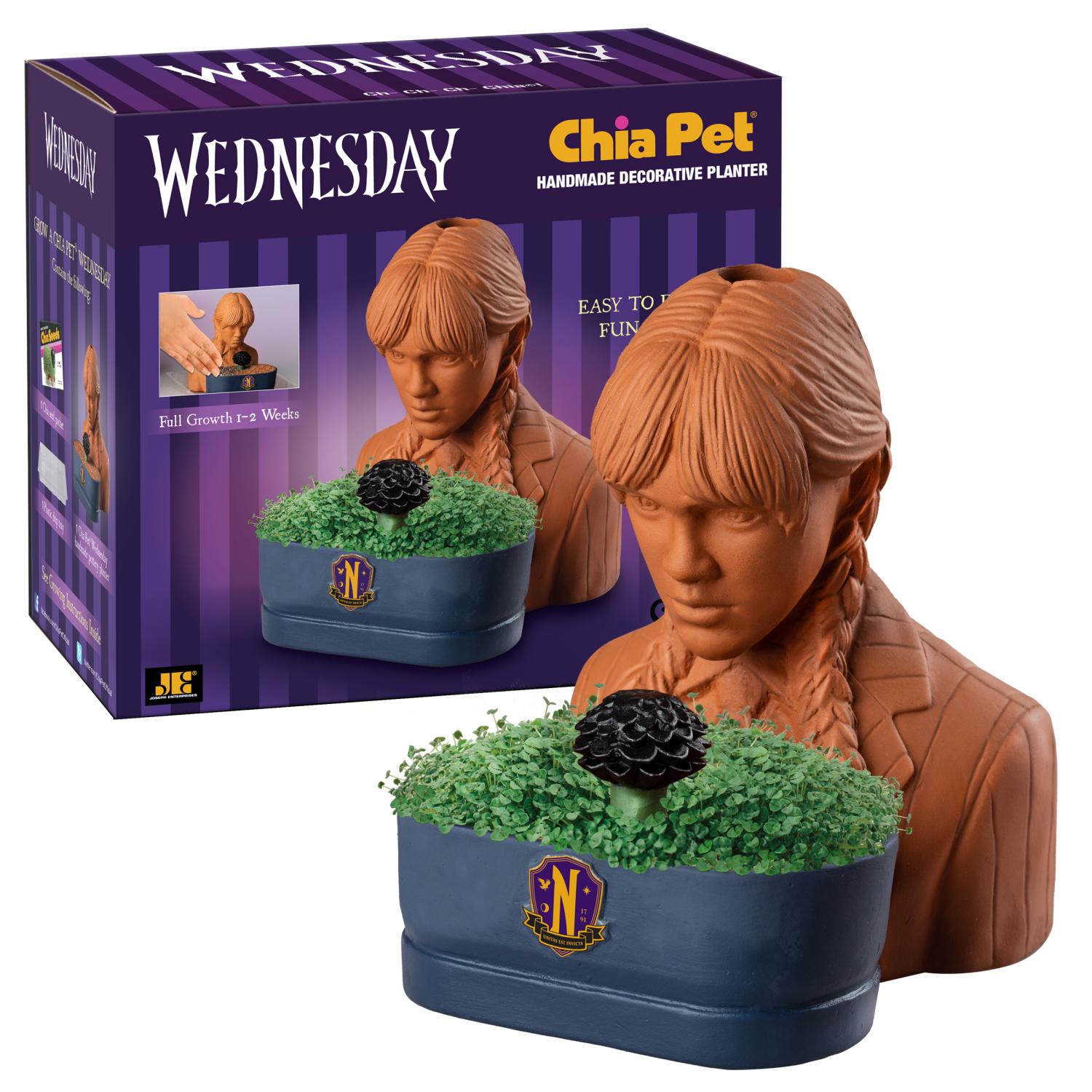 slide 2 of 2, Chia Pet Wednesday Addams, 1 ct