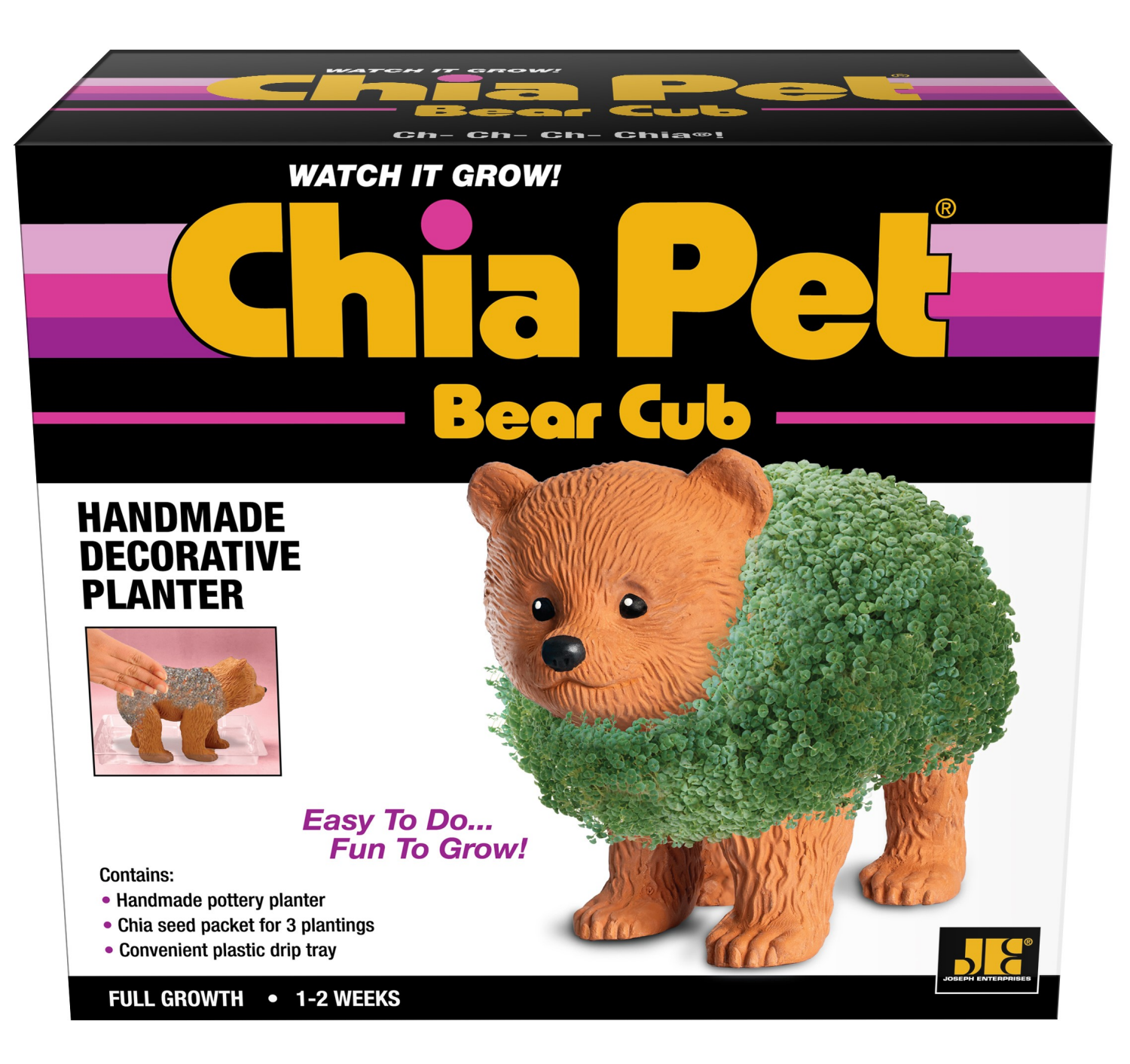 slide 1 of 2, Chia Pet Bear Cub, 1 ct