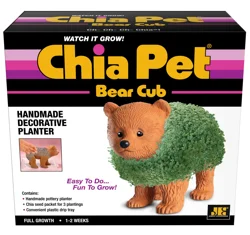 Chia Pet Bear Cub