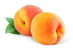 Macaron Café Eastern Peaches Bag Plu - 1 lb