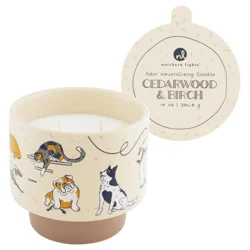 Northern Lights NL 14 oz Odor Neutralizing Ceramic Candle - Cedarwood & Birch