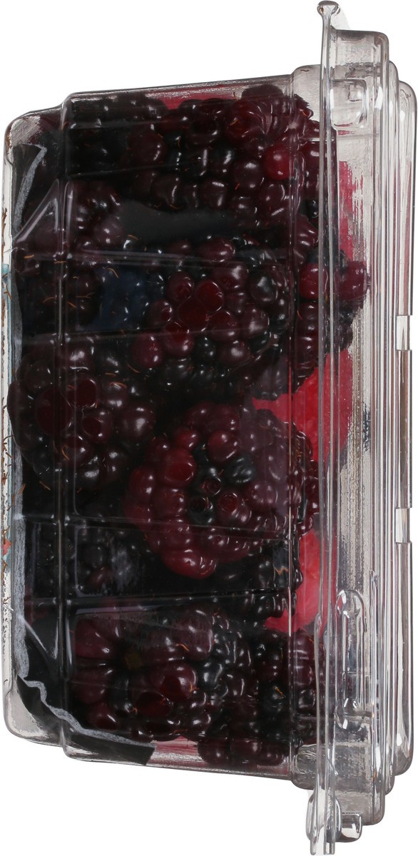 slide 7 of 12, Sun Belle Sunbelle Vari Berries, 10 oz