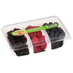 Sun Belle Sunbelle Vari Berries