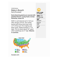 slide 3 of 5, Burpee Babys Breath Early Snowballdouble Flowered Seeds, 1 ct