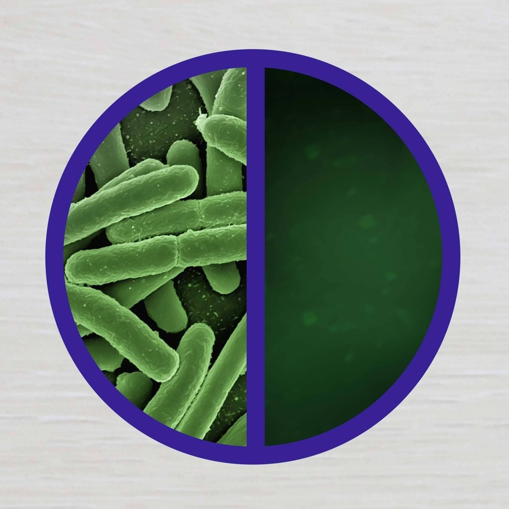 slide 7 of 9, Lysol Crisp Linen Disinfectant Spray To Go, 1 oz