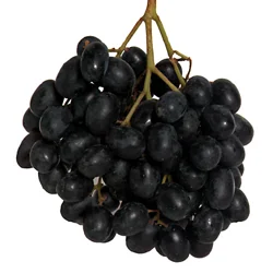 Black Grapes