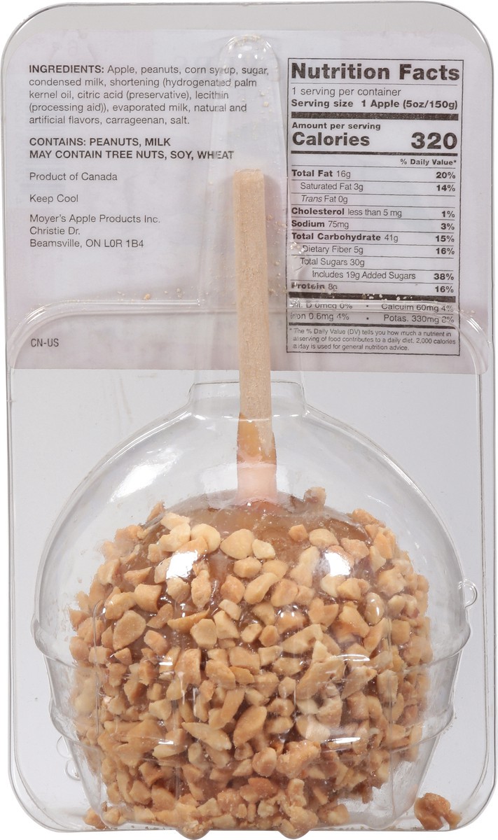 slide 5 of 9, Moyers Caramel Apple with Peanuts 5 oz, 5 oz