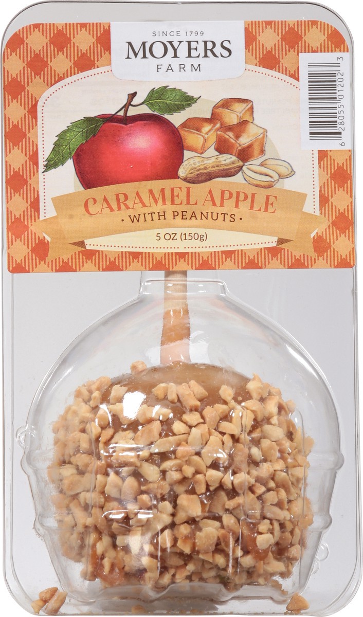 slide 6 of 9, Moyers Caramel Apple with Peanuts 5 oz, 5 oz