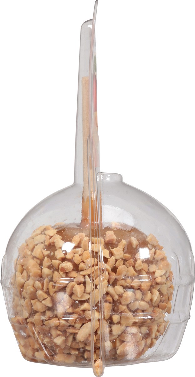 slide 7 of 9, Moyers Caramel Apple with Peanuts 5 oz, 5 oz