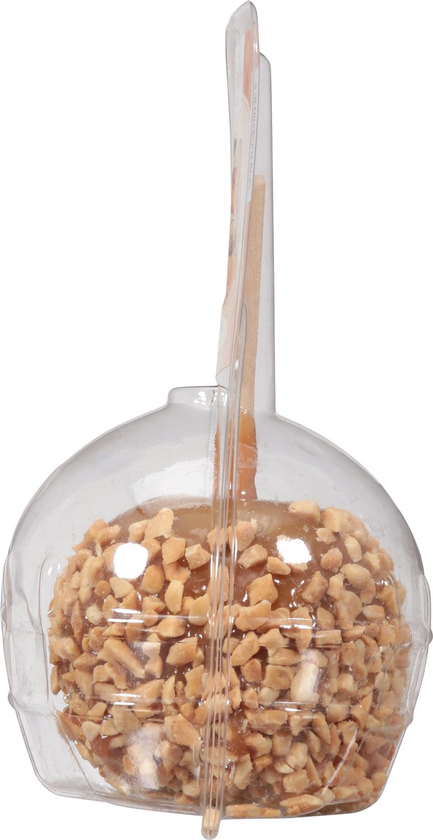 slide 8 of 9, Moyers Caramel Apple with Peanuts 5 oz, 5 oz