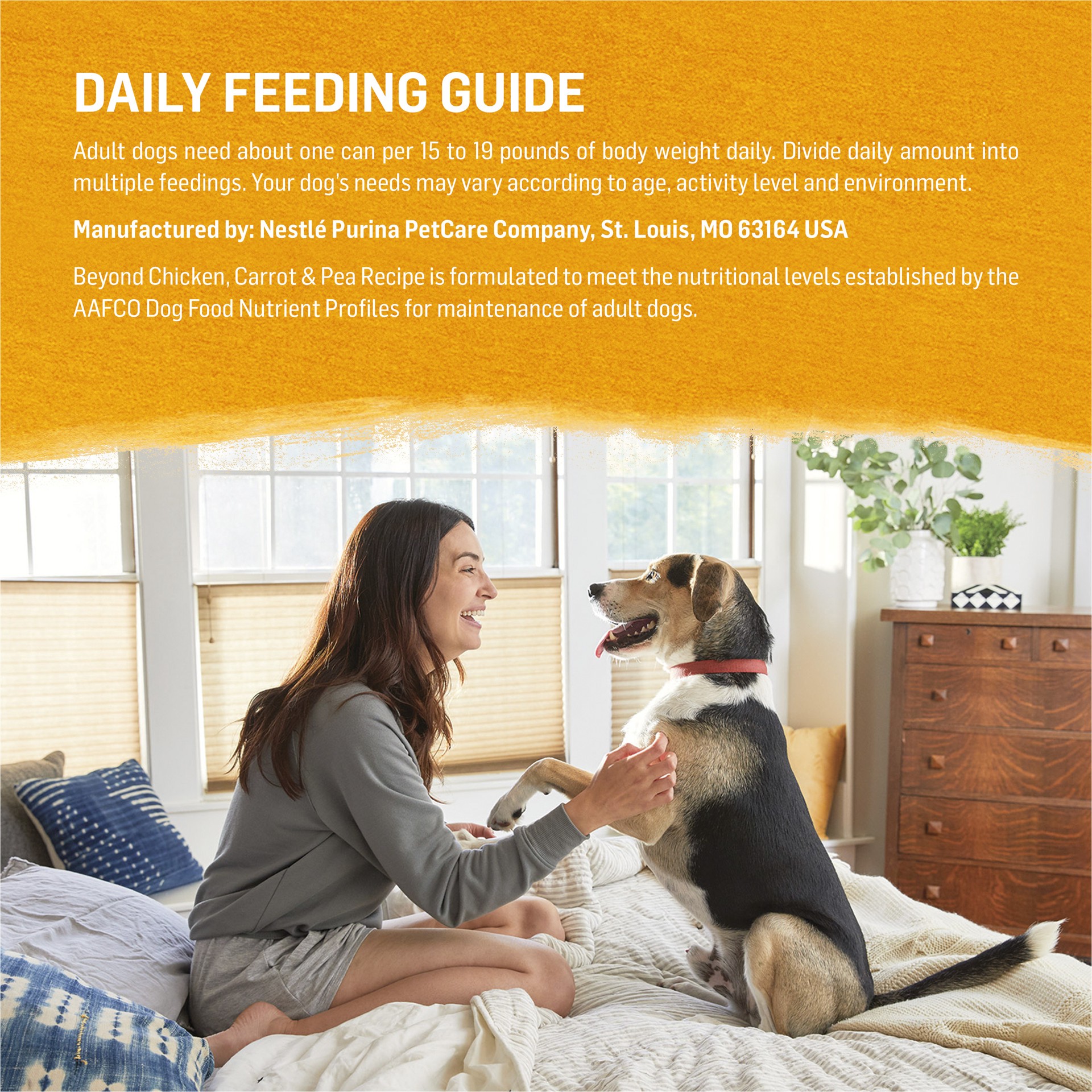 slide 8 of 8, Beyond Purina Beyond Chicken, Carrot and Pea Ground Grain Free Wet Dog Food Natural Pate with Added Vitamins and Minerals, 