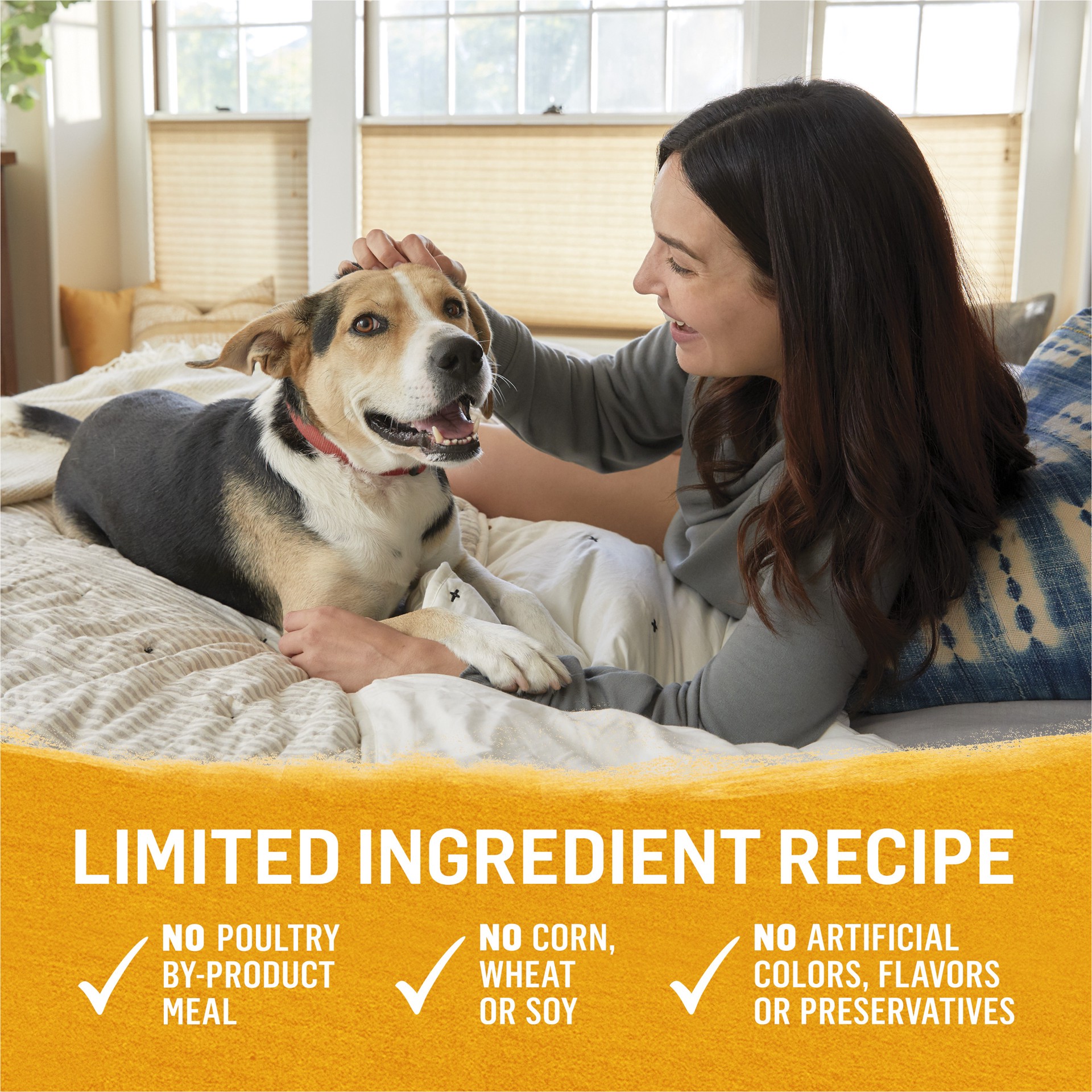 slide 2 of 8, Beyond Purina Beyond Chicken, Carrot and Pea Ground Grain Free Wet Dog Food Natural Pate with Added Vitamins and Minerals, 