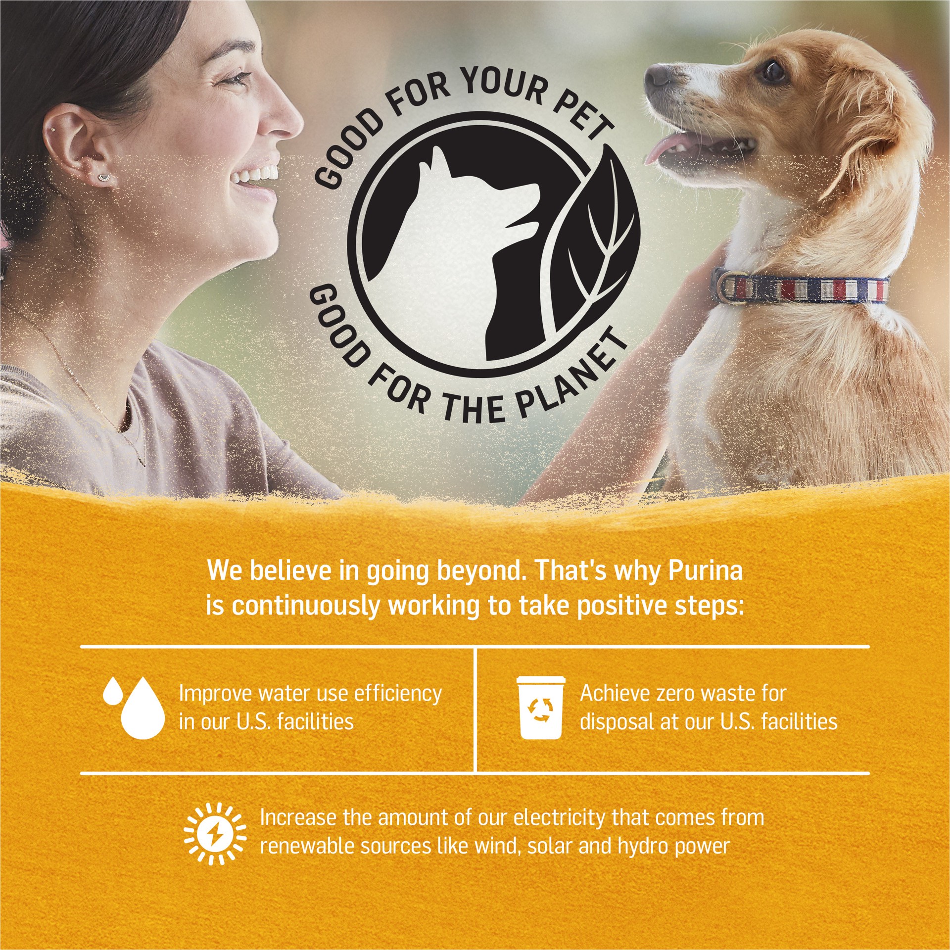 slide 3 of 8, Beyond Purina Beyond Chicken, Carrot and Pea Ground Grain Free Wet Dog Food Natural Pate with Added Vitamins and Minerals, 