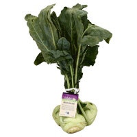 slide 1 of 1, Green Kohlrabi, 1 ct