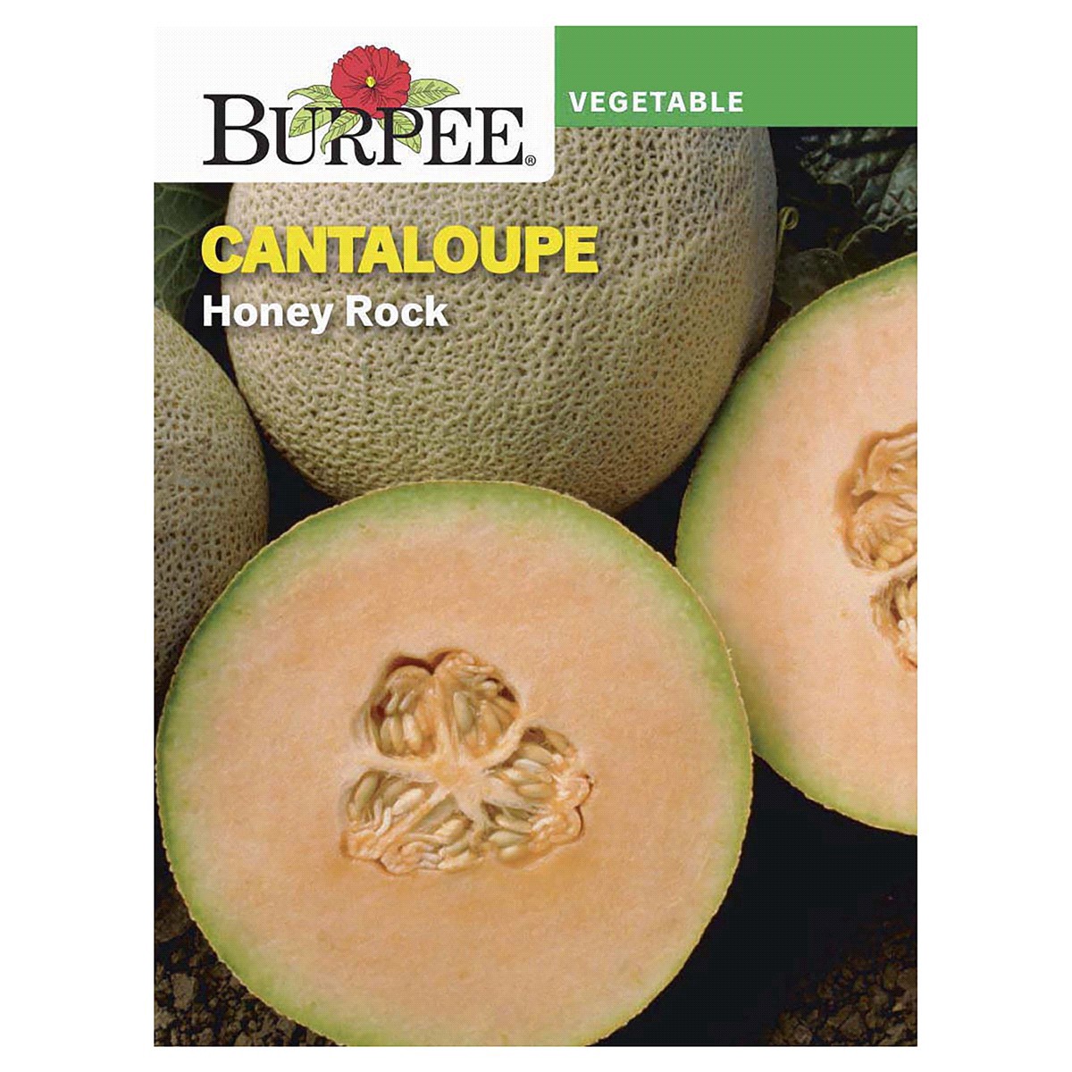 slide 1 of 5, Burpee Cantaloupe Honey Rock Seeds, 1 ct