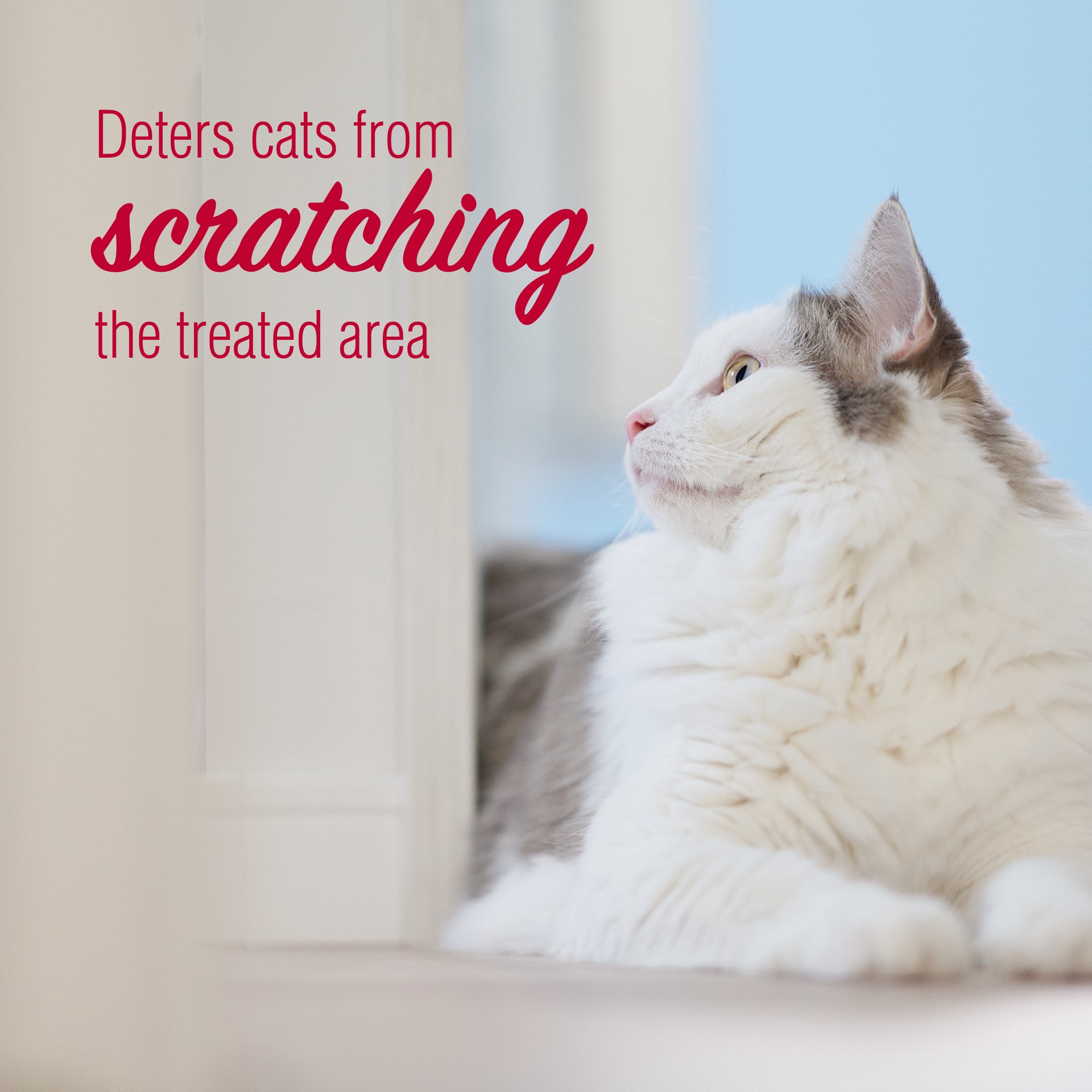 slide 7 of 9, Nature's Miracle Advanced Platinum Cat Scratch Deterrent Spray, 8 Ounces, Discourages Destructive Scratching, 0.63 lb