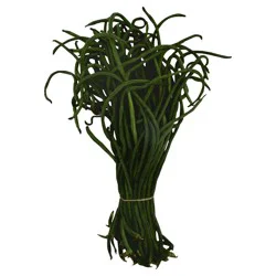 Chinese Long Bean Per Pound