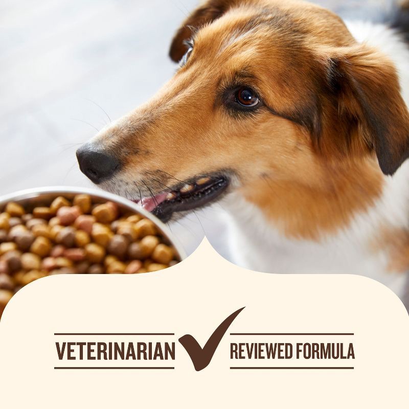 slide 7 of 10, Nutrish Whole Health Blend Real Beef, Pea & Brown Rice Recipe Dry Dog Food - 6lbs, 6 lb