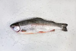 FRESH FROM MEIJER Meijer Freshrainbow Trout Whole Fish