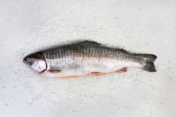 FRESH FROM MEIJER Meijer Freshrainbow Trout Whole Fish