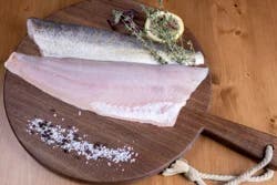 Walleye Fillet Fresh