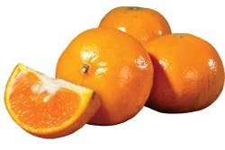 Fresh Honey Tangerines