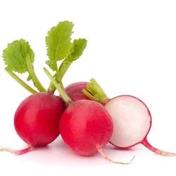 Produce Red Radish Bunch