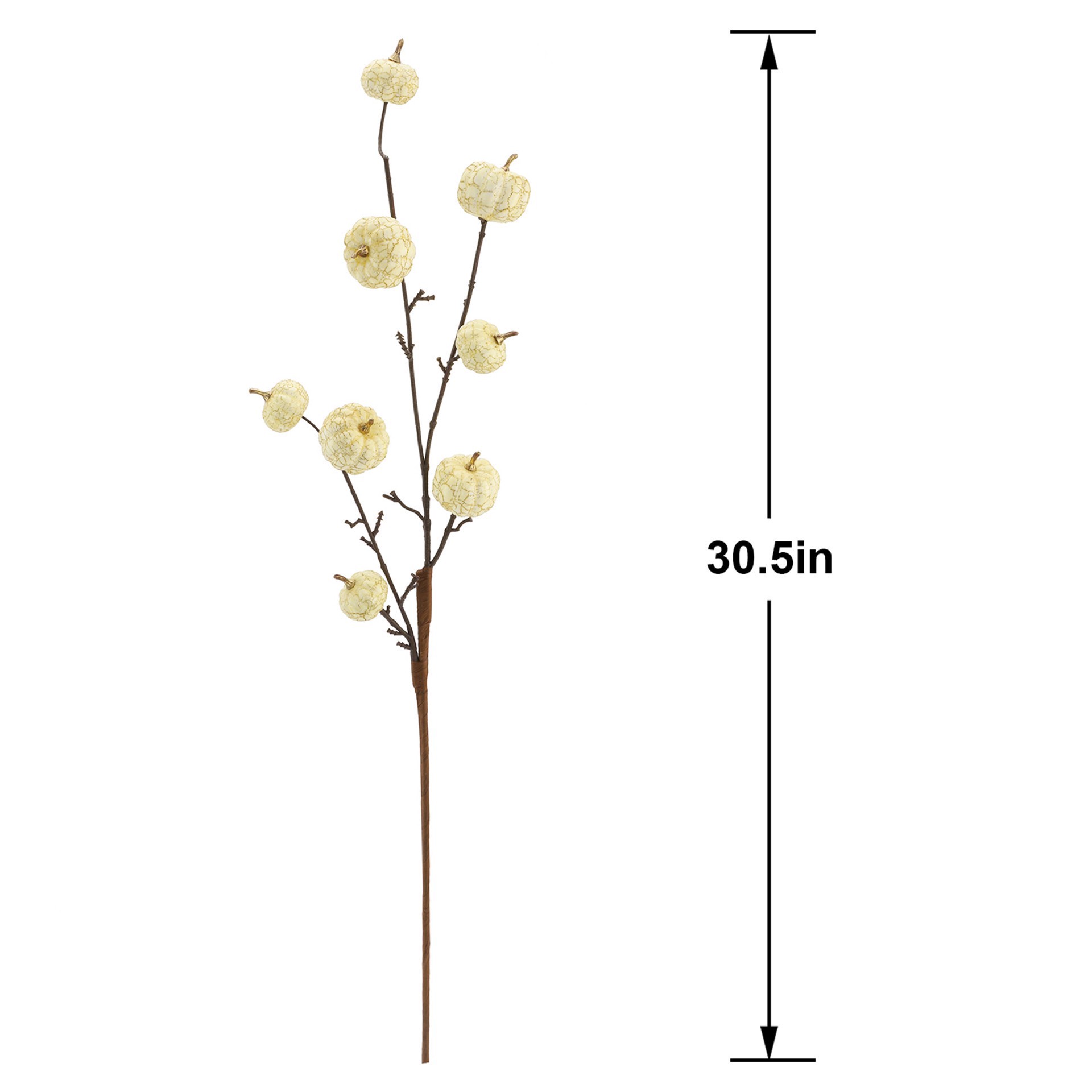 slide 2 of 3, 30.5" Cream Pumpkin Stem By Ashland, 30.5 in
