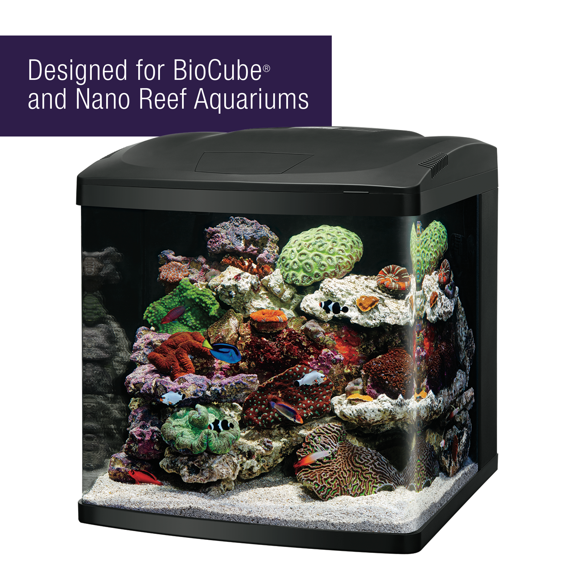 slide 4 of 10, Coralife PURE Water Care Bacteria Supplement 4 pack, 4 ct