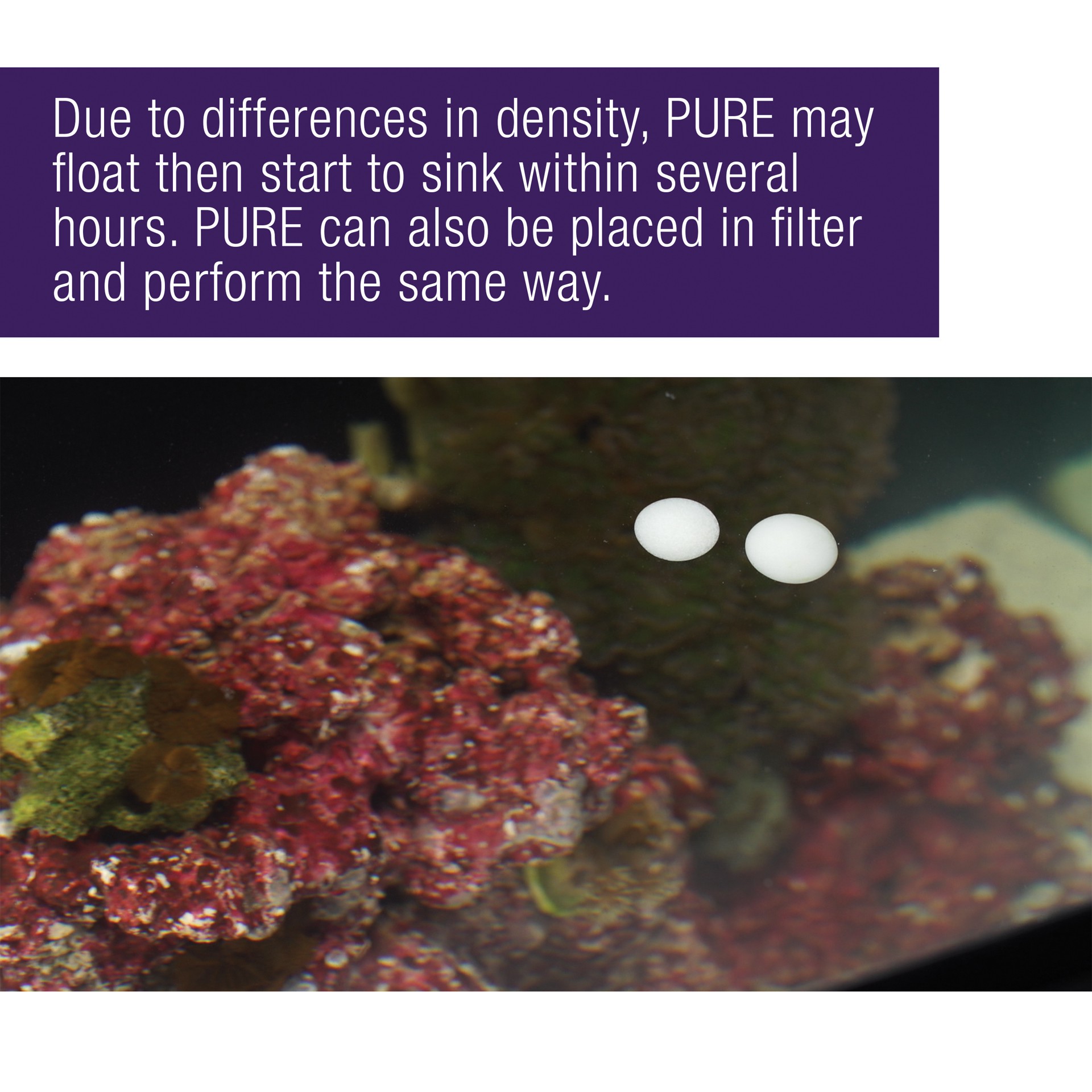 slide 2 of 10, Coralife PURE Water Care Bacteria Supplement 4 pack, 4 ct