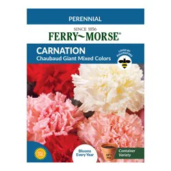 Ferry Morse Carnation