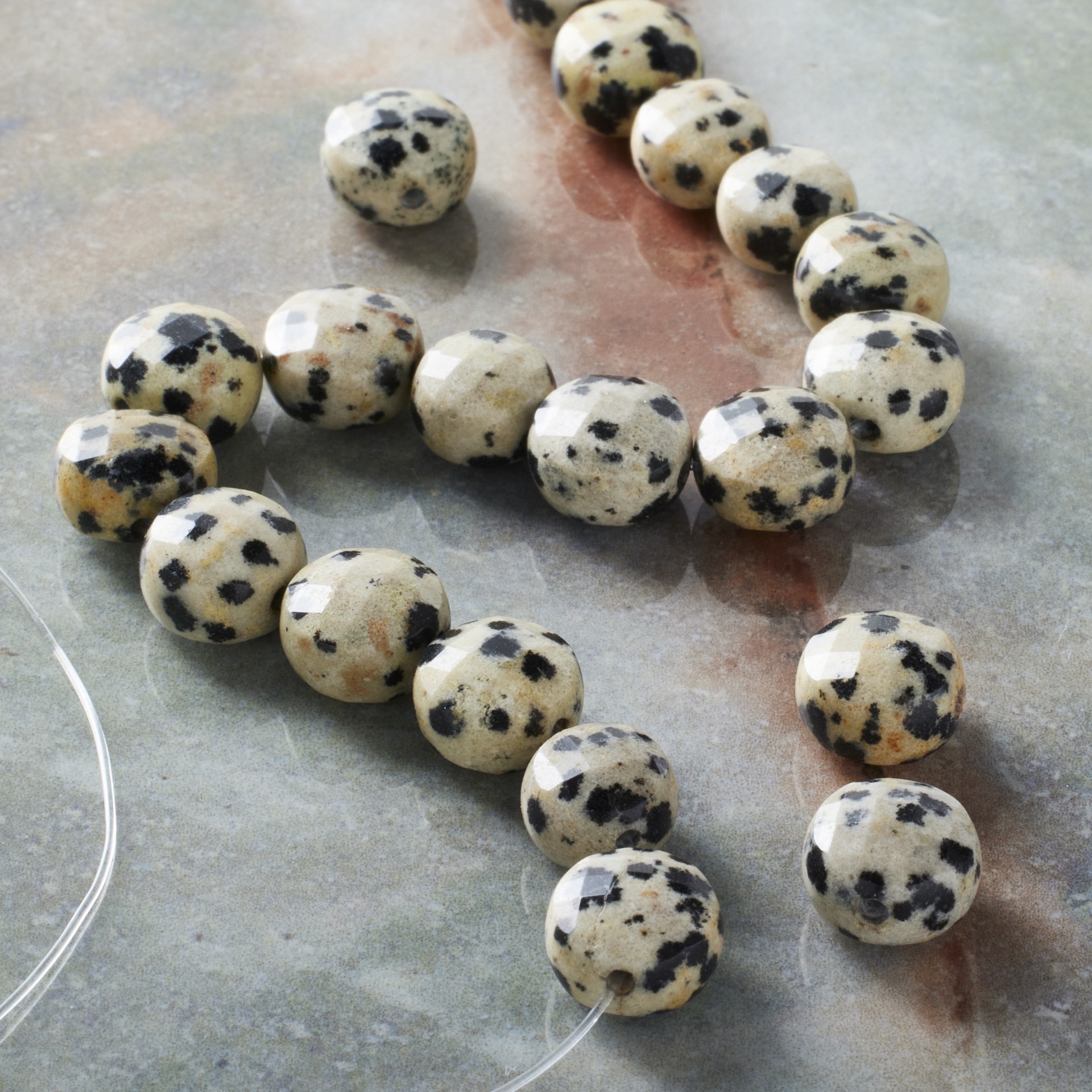 slide 2 of 3, Faceted Dalmatian Jasper Coin, 8mm By Bead Landing, 8mm