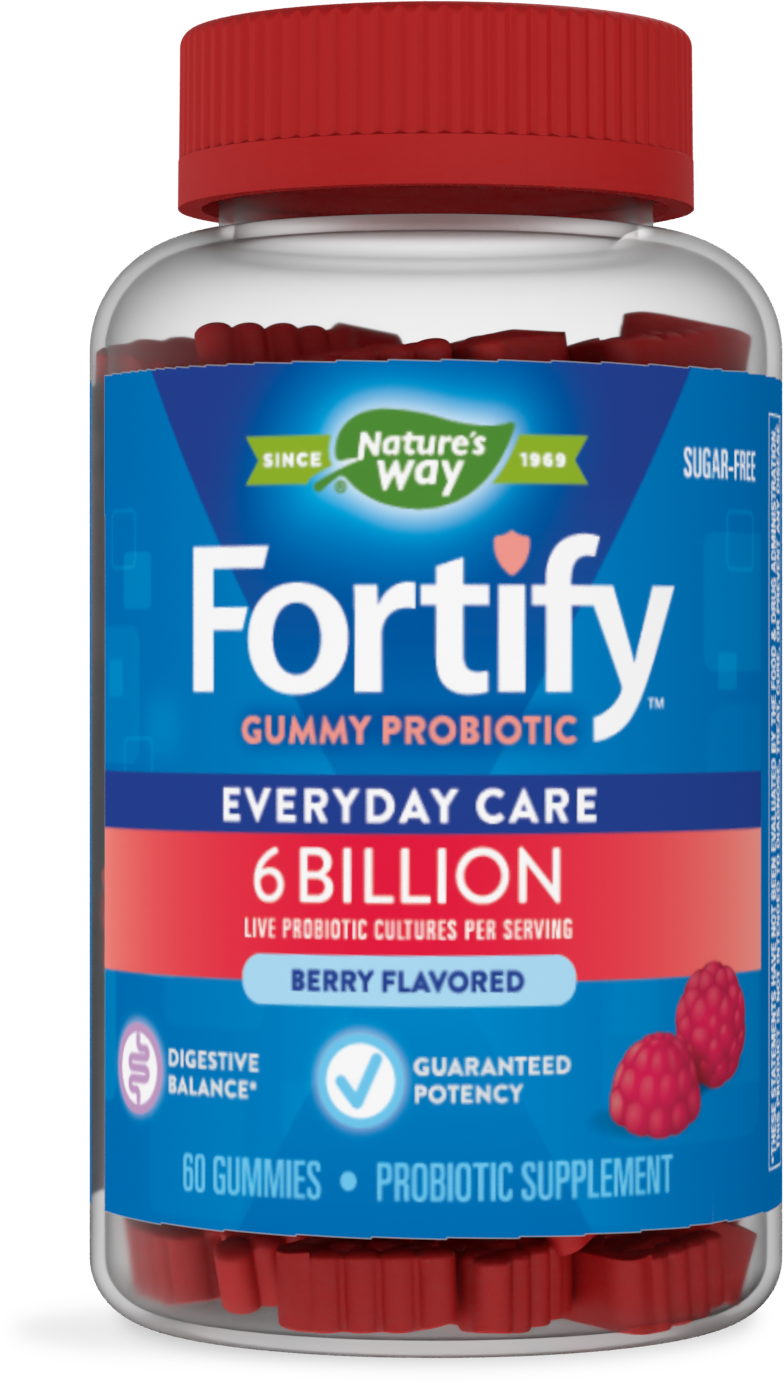 slide 1 of 1, Nature's Way Fortify Probiotic Gummies, 6 Billion, 60 Gummies, 60 ct