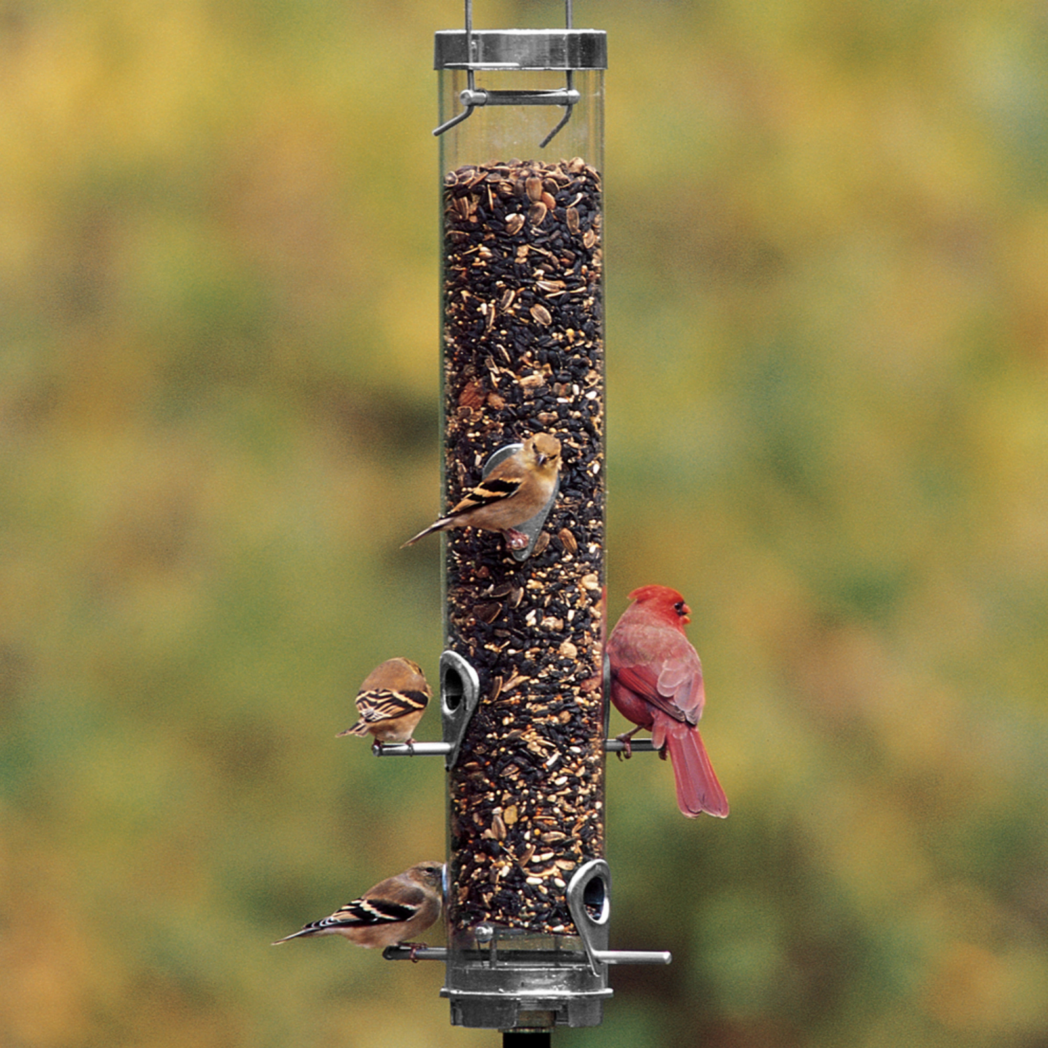 slide 2 of 4, Droll Yankees Classic Sunflower Feeder With Ring Pull Advantage - Silver, 1 ct
