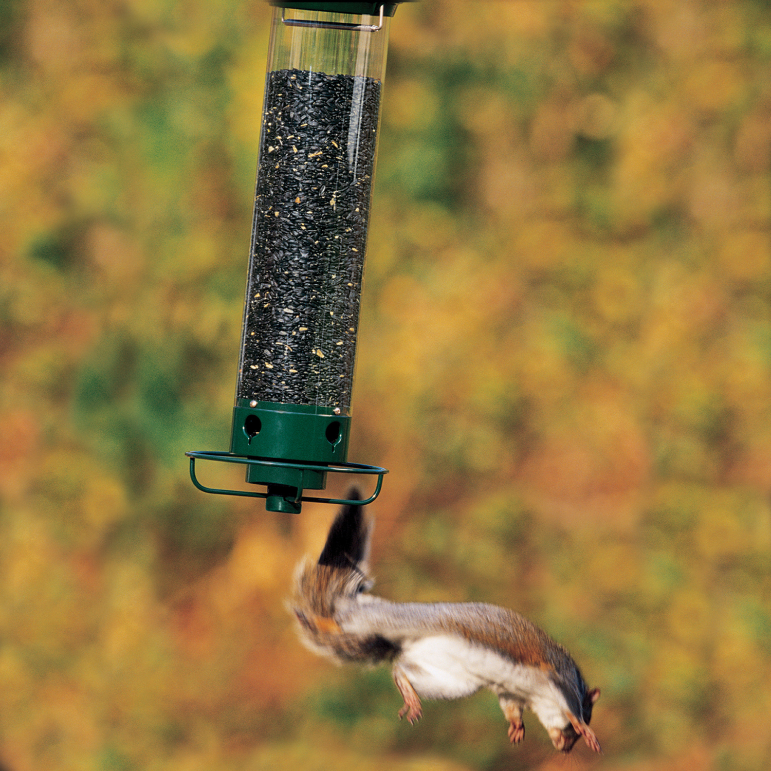 slide 3 of 8, Droll Yankees 21" Long 4 Port Squirrel Proof Sunflower Feeder - Green, 21 in
