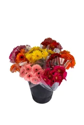 7 Stem Fresh Gerbera